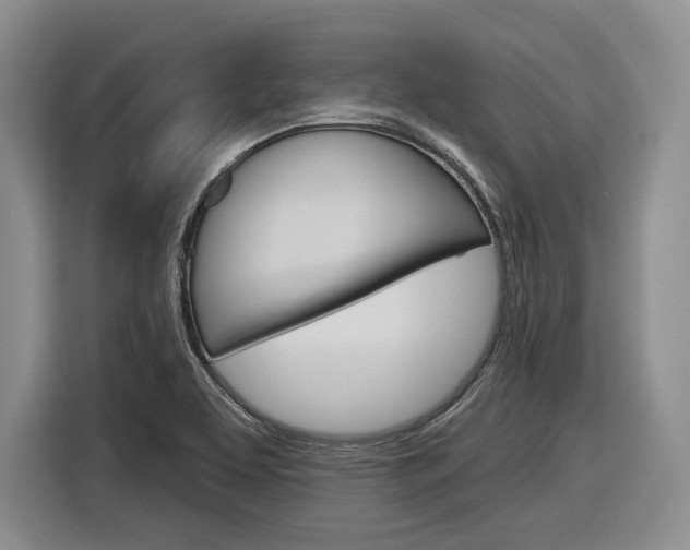 X0000116891463200912220954