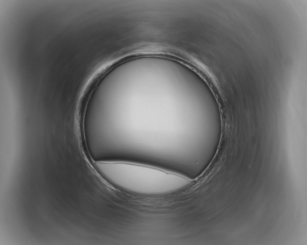 X0000116891464200912220954