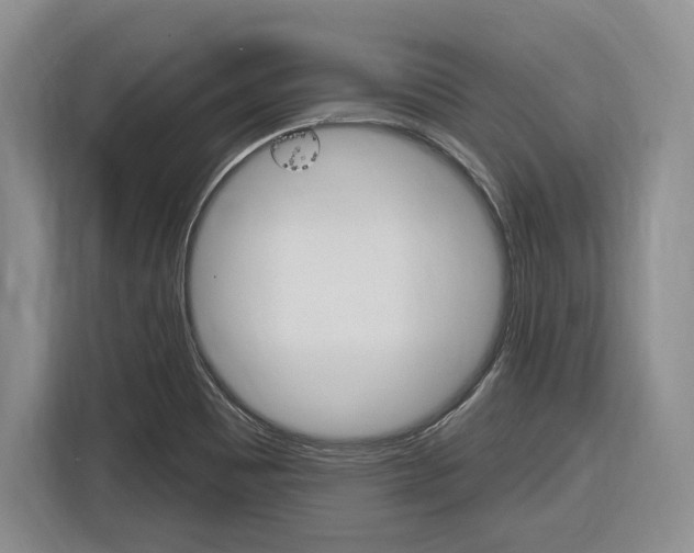 X0000116891465200912220954
