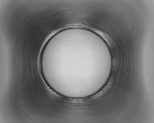 X0000116891466200912220954