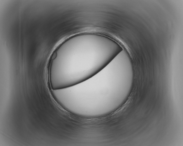 X0000116891467200912220954