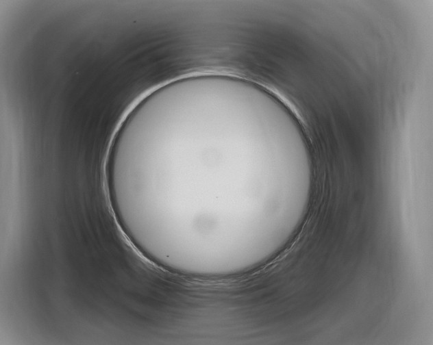 X0000116891468200912220954