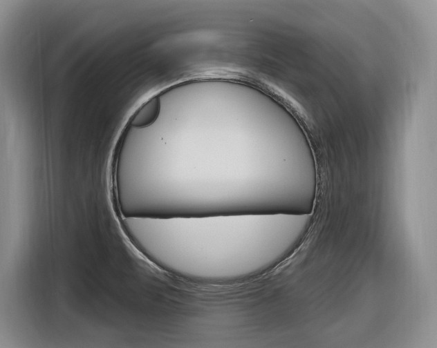 X0000116891471200912220954