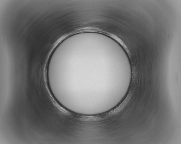 X0000116891474200912220954
