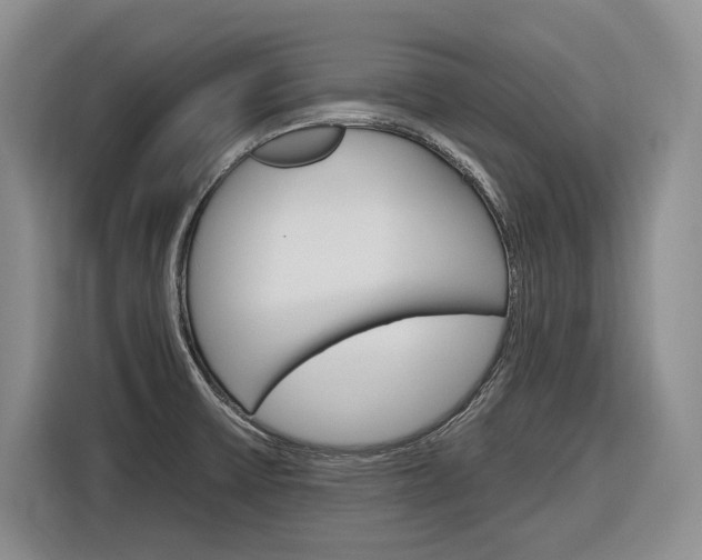 X0000116891475200912220954