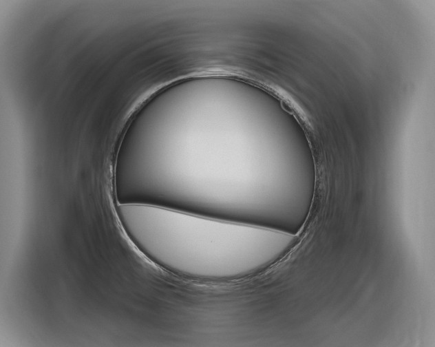 X0000116891476200912220954