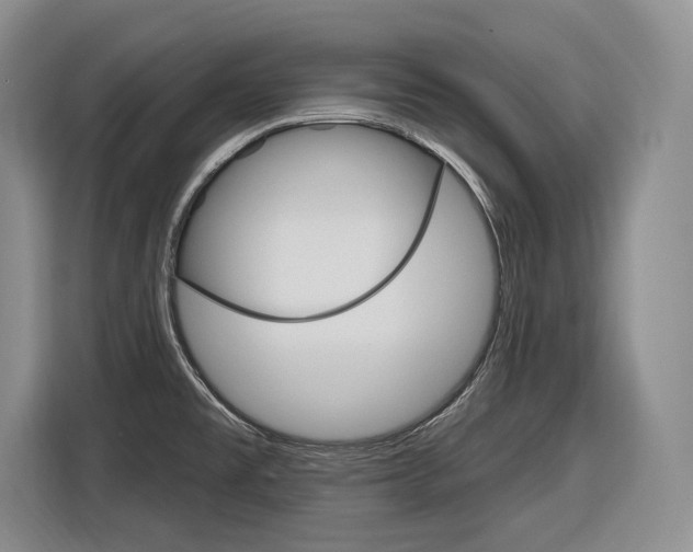 X0000116891477200912220954