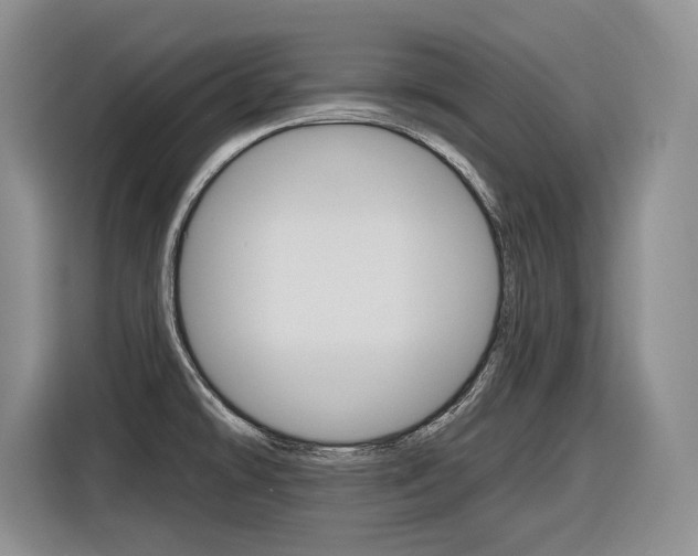X0000116891478200912220954