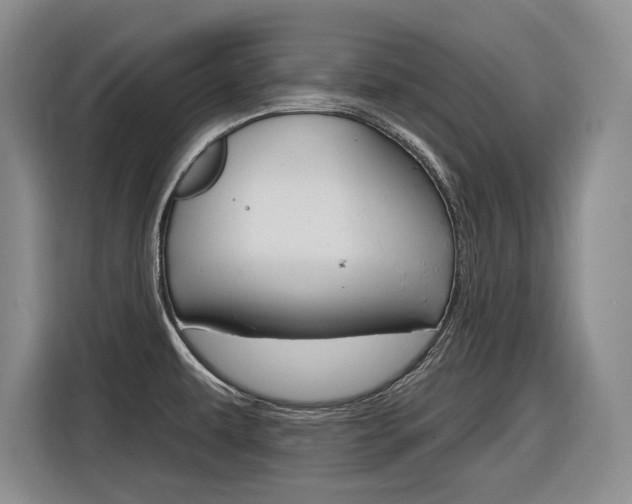 X0000116891479200912220954