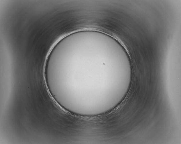 X0000116891480200912220954