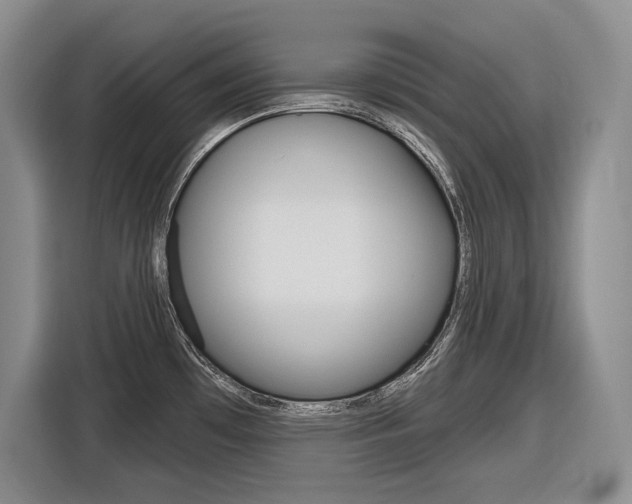 X0000116891481200912220954