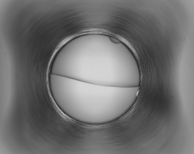 X0000116891482200912220954