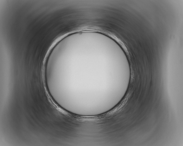 X0000116891486200912220954