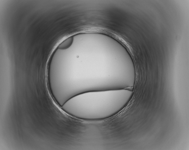 X0000116891487200912220954