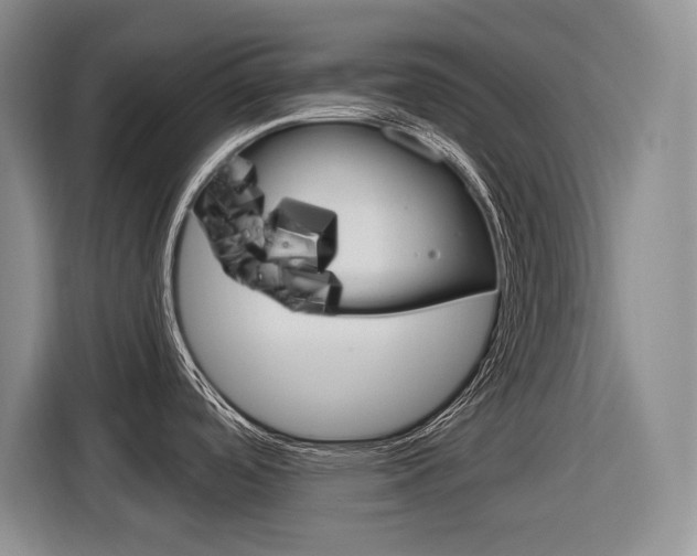 X0000116891488200912220954