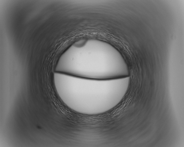 X0000116891489200912220954