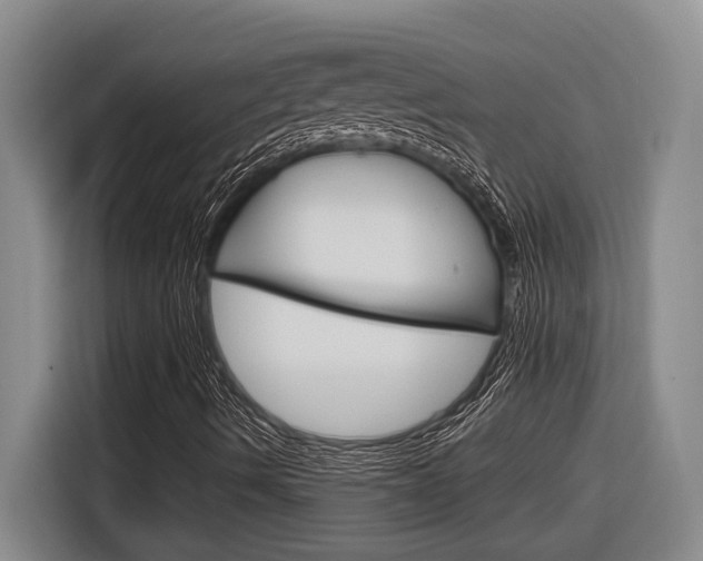 X0000116891490200912220954