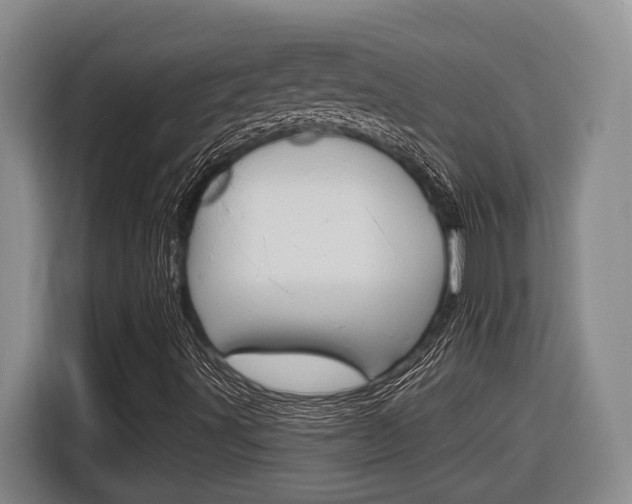 X0000116891491200912220954