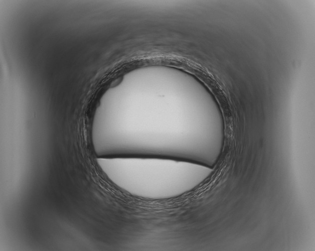 X0000116891493200912220954