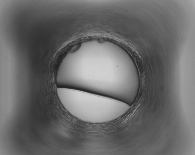 X0000116891494200912220954