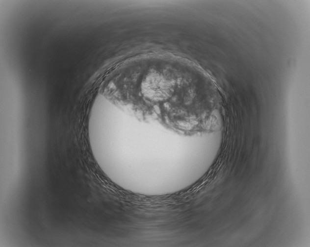X0000116891495200912220954