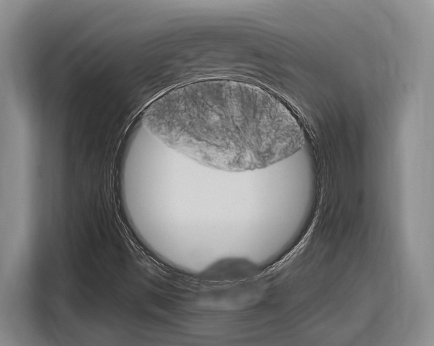 X0000116891497200912220954