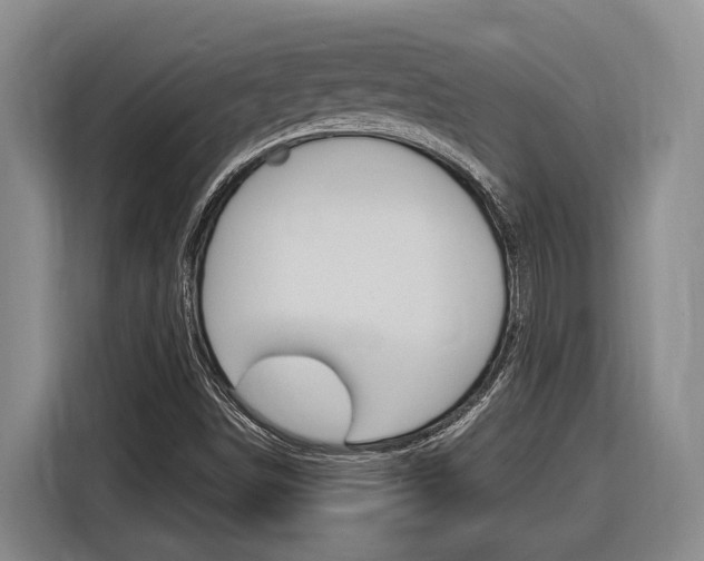 X0000116891498200912220954