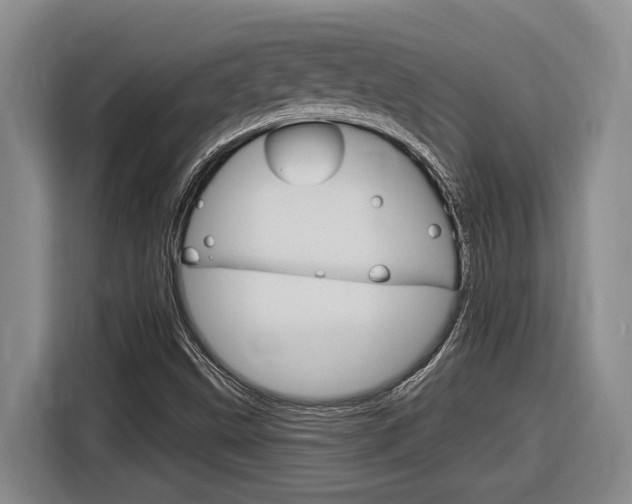 X0000116891499200912220954