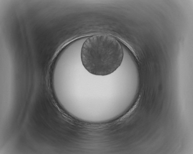 X0000116891501200912220954