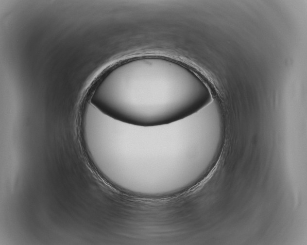 X0000116891502200912220954