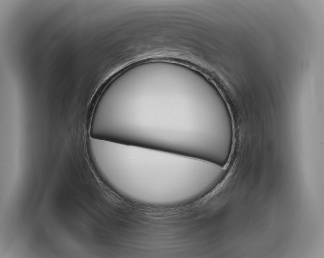 X0000116891505200912220954