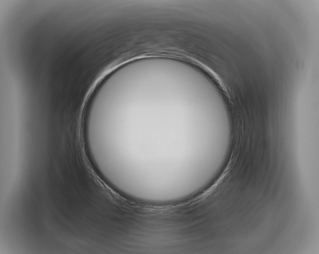 X0000116891506200912220954