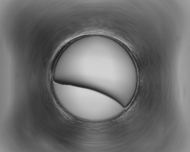 X0000116891507200912220954