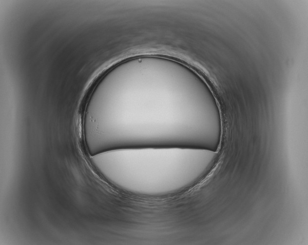 X0000116891509200912220954
