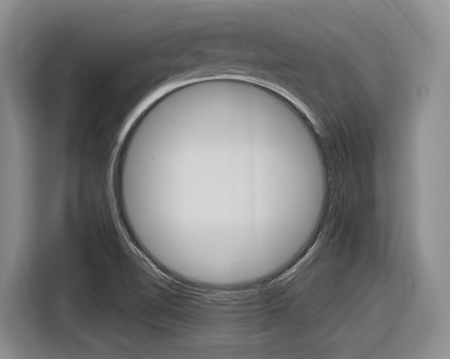 X0000116891510200912220954
