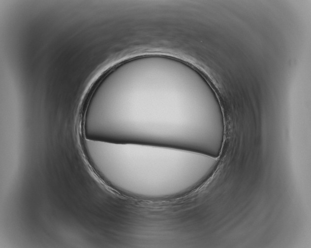 X0000116891511200912220954