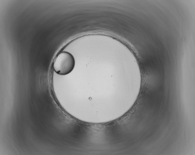 X0000116891514200912220954