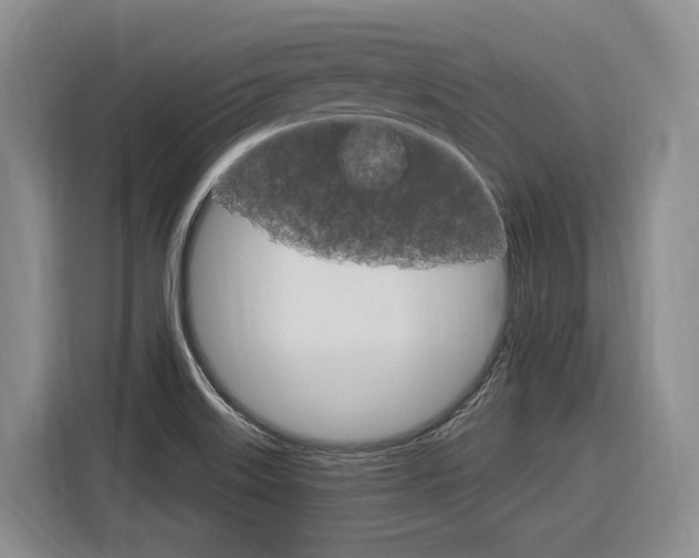 X0000116891515200912220954