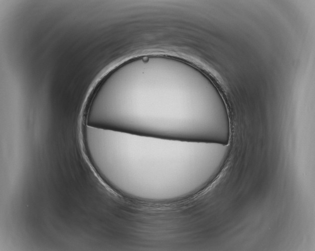 X0000116891517200912220954