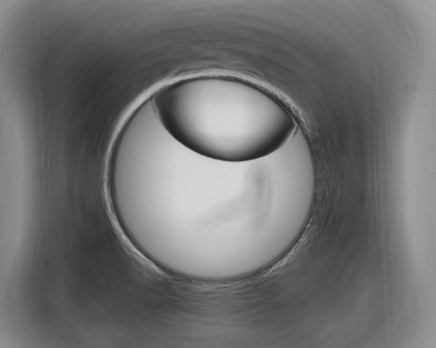 X0000116891518200912220954