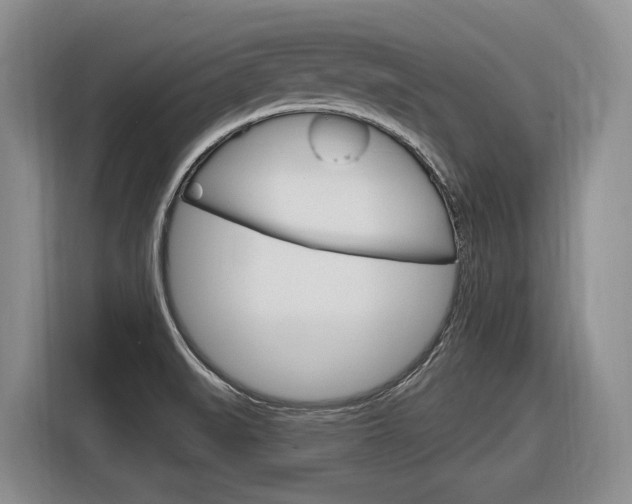 X0000116891519200912220954