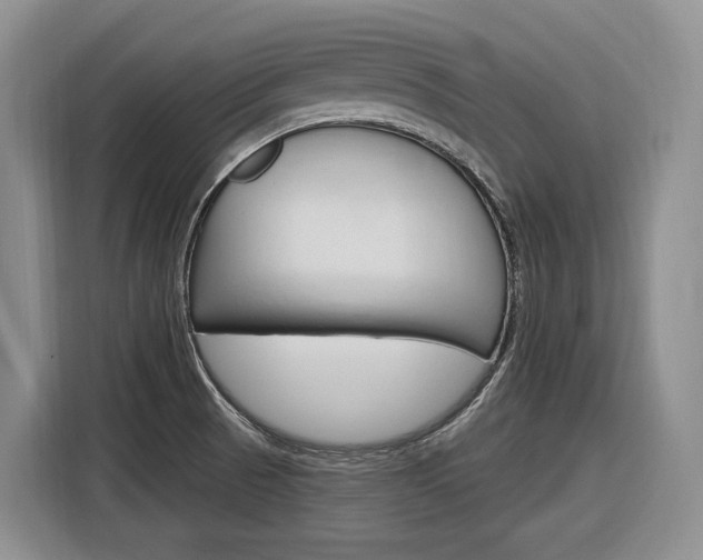 X0000116891521200912220954