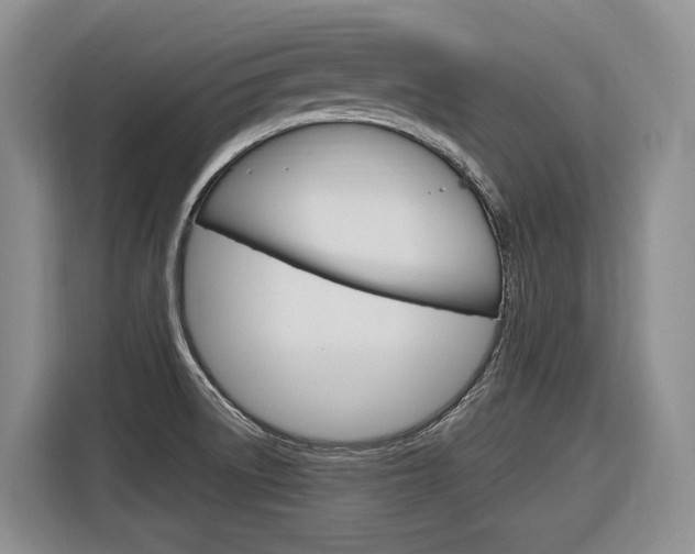 X0000116891522200912220954