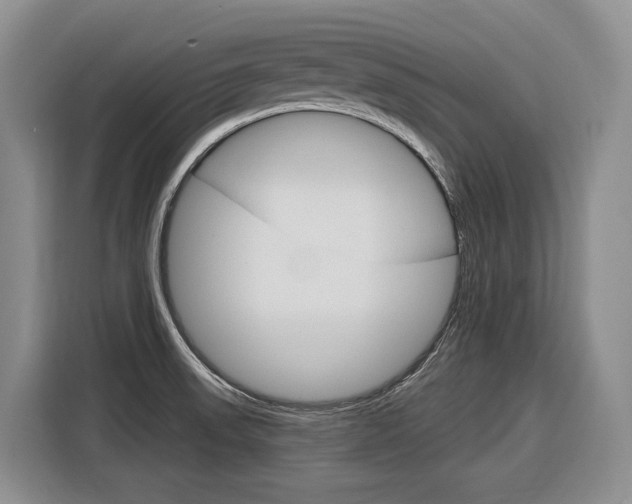 X0000116891523200912220954
