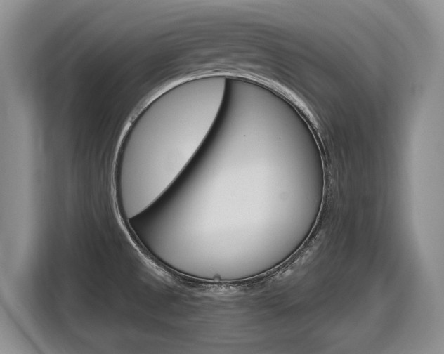 X0000116891525200912220954