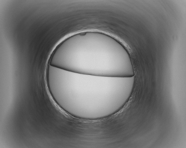 X0000116891526200912220954
