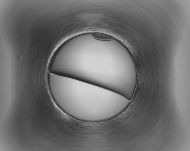 X0000116891527200912220954