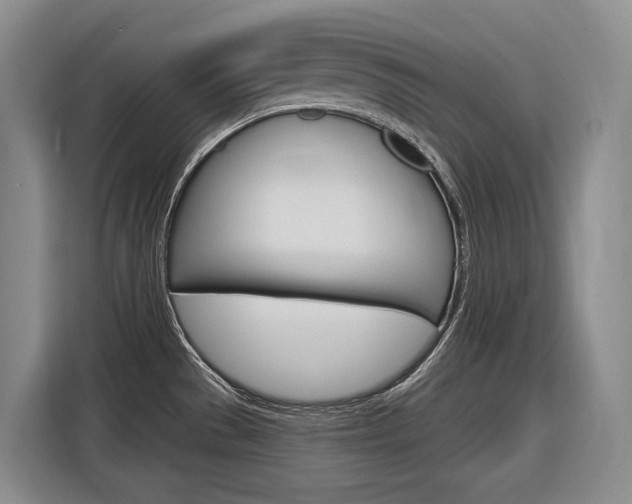 X0000116891529200912220954