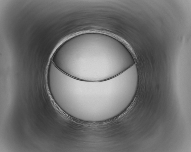 X0000116891530200912220954