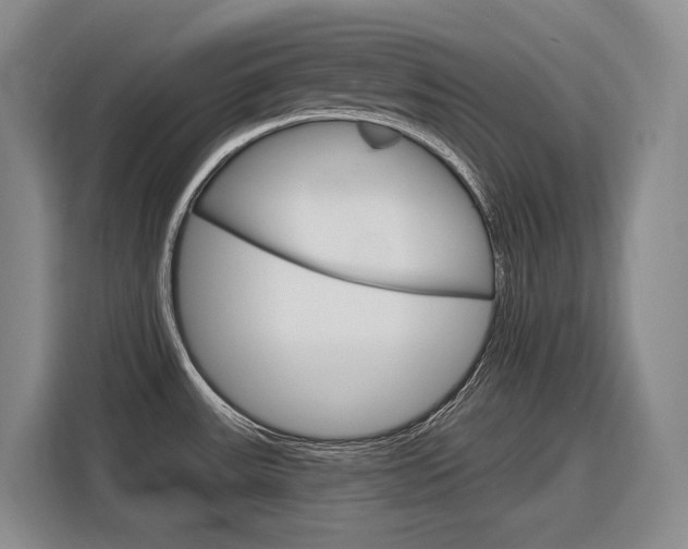 X0000116891531200912220954